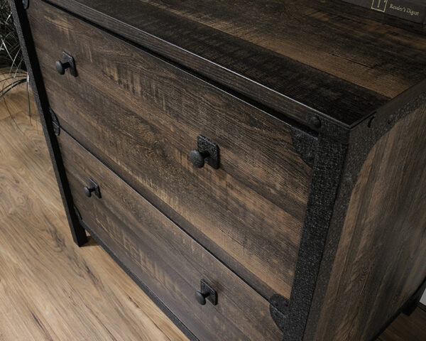 Sauder Steel River® 2-Drawer Lateral File Cabinet in Carbon Oak - Image 5