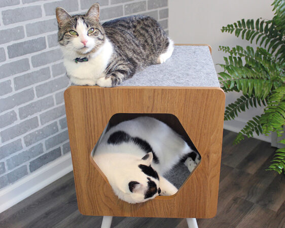 Scandi cat bed new arrivals