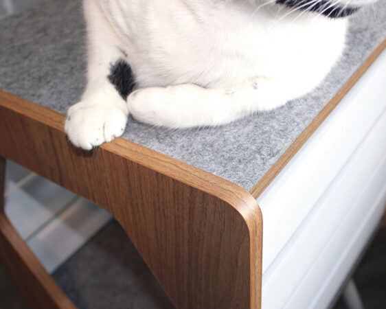 Sauder cat furniture hotsell