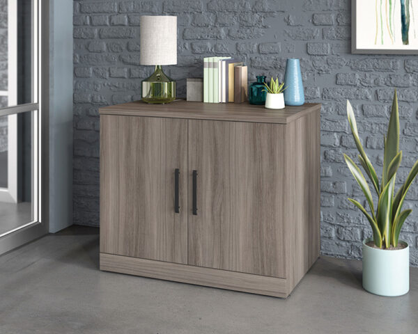 Commercial Storage Cabinet in Hudson Elm