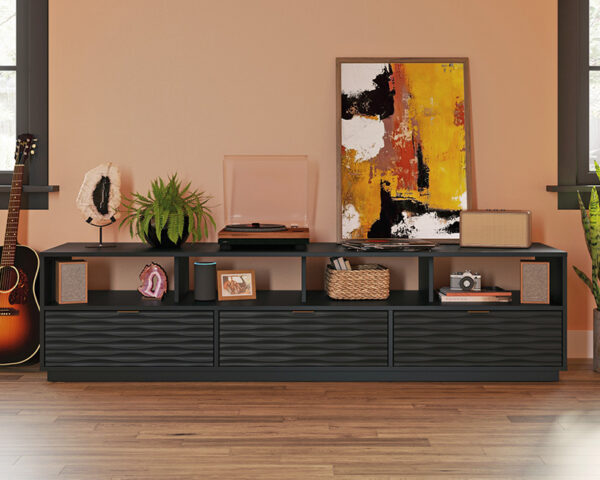 TV & Entertainment Credenza in Black - Image 3