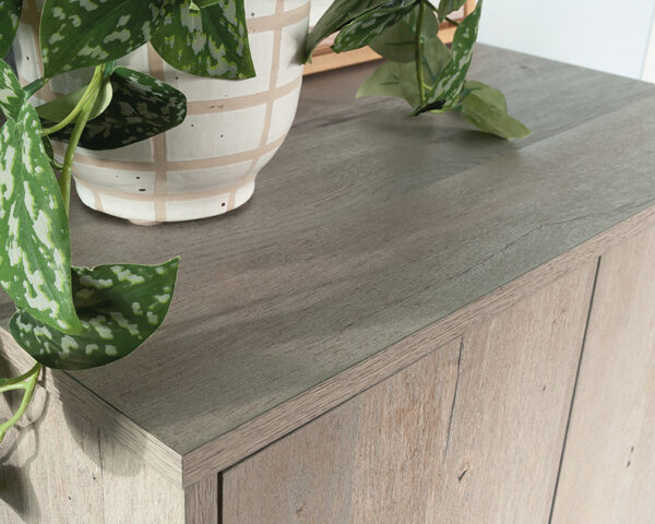 2-Door Storage Cabinet in Mystic Oak - Image 3